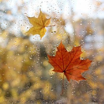 How to Bring the Scent of Autumn into your Home with Northumbrian Candleworks