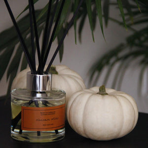 Northumbrian Candleworks - Cinnamon Sticks - Autumn Reed Diffuser with Pumpkins